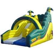huge inflatable slide